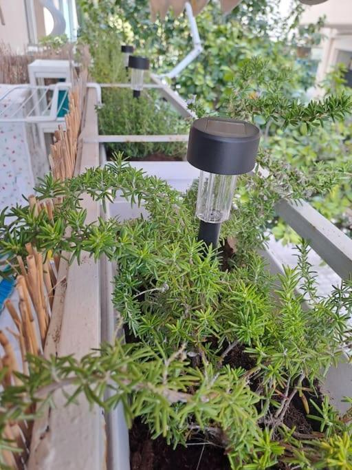 Appartement Δίπλα Στο Πάρκο à Kalamata Extérieur photo