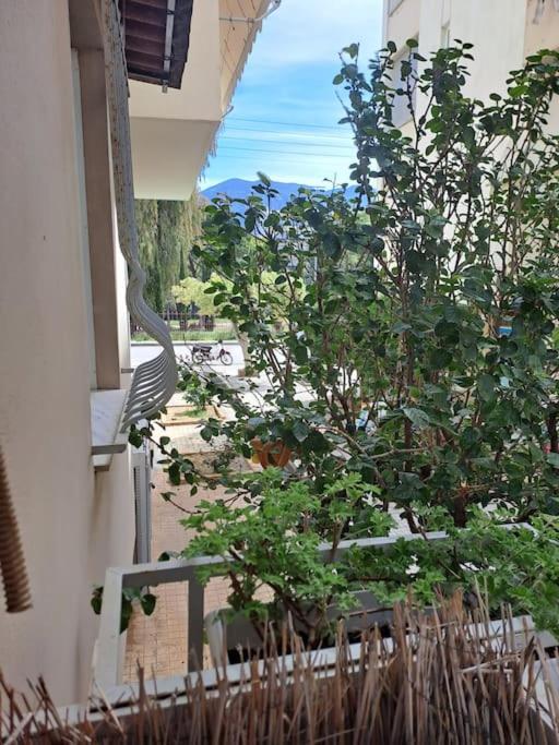 Appartement Δίπλα Στο Πάρκο à Kalamata Extérieur photo